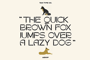 TAN - AESOP