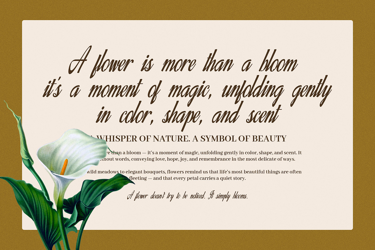 Alexyne Elegant Script Font, a Script Font by Graphicxell (Photo 4 of 8)
