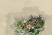 Watercolor Photoshop Action preview 5
