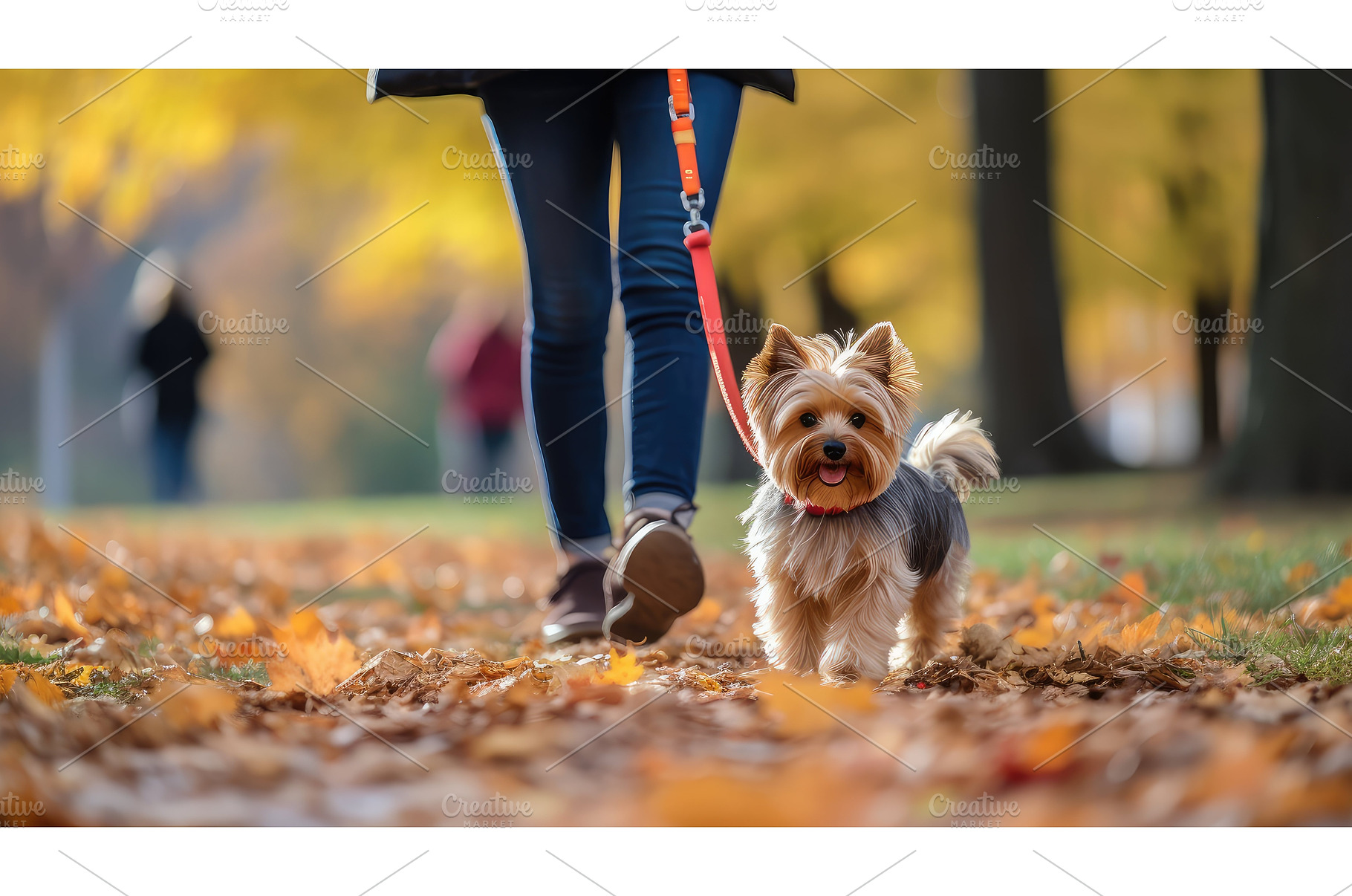 breed walking small dog ai generated, an Animal Photo by pikepicture