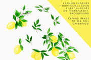 Juicy Watercolor Lemon Set, an Illustration by One and Only Paper (Thumbnail 3 of 9)