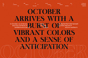 Best October Elegant Serif Font, a Serif Font by Perfectype (Thumbnail 2 of 8)