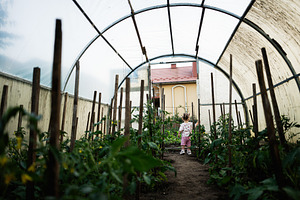 Child exploring a lush greenhouse garden filled with plants and growth, a Person Photo by AS photostudio
