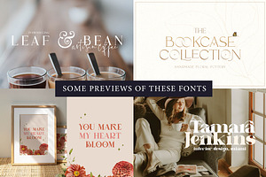 The Serif Font Bundle ONLY $10