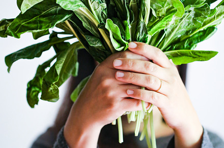 Baby swiss chard