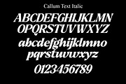Callum Text Serif | 9 Font, a Serif Font by Positive TypeFoundry (Thumbnail 12 of 13)