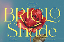 Briglo Shade Elegant Thin Serif