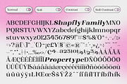 Shapfly, a Serif Font by Propertype (Thumbnail 15 of 15)