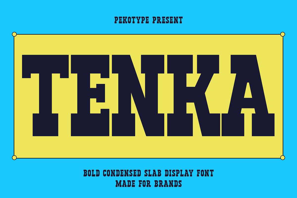 Tenka - Condensed Slab Serif Font, a Font by Pekotype (Photo 1 of 15)