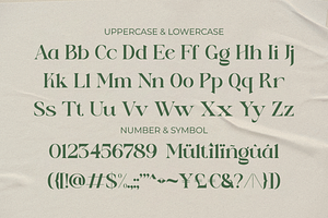 Eden Meadow - Stylish Serif Font