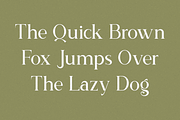 The Calling Monday - Modern Stylish, a Serif Font by RockboyStd (Thumbnail 7 of 12)
