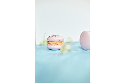 Assorted sweet french pink macarons, a Food & Drink Photo by IlliaBondarPhotography