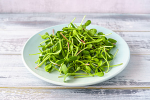 Fresh green sunflower microgreens on a blue plate. Healthy sprout plant ingredi, a Food & Drink Photo by Eugene_Photo