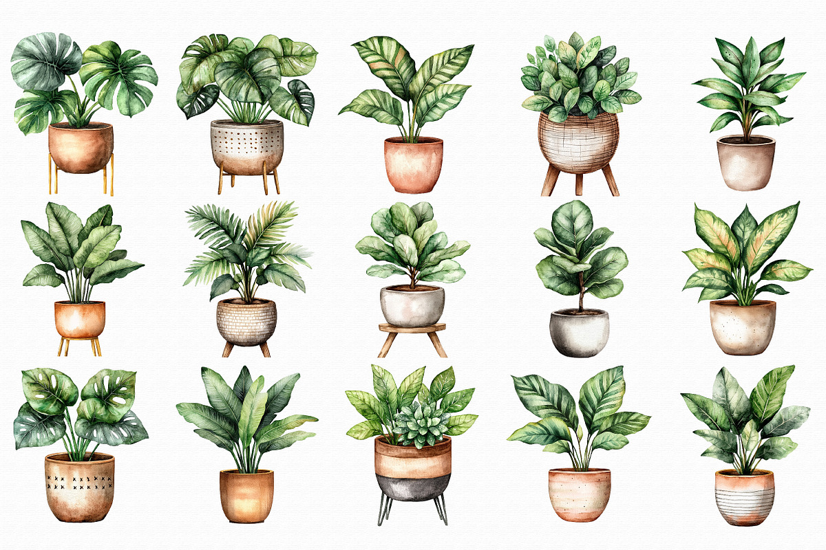 Watercolor Home Plants Clipart, an Illustration by Libby Wishes (Photo 4 of 7)