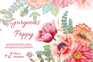 Gorgeous Poppy Watercolor Clipart