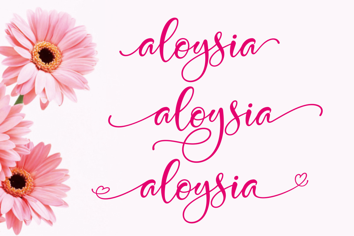 Spotlight, a Script Font by Byuly Ayika (Photo 9 of 11)