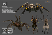 Spider Photoshop overlays, an Object Graphic by 2SUNS (Thumbnail 3 of 9)
