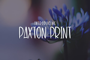 Paxton Print