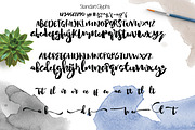 Nightgirls Script, a Script Font by Olexstudio (Thumbnail 5 of 6)