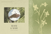 Bloom & Shade Botanical PNG Elements, an Object Graphic by alonahaidash (Thumbnail 11 of 13)