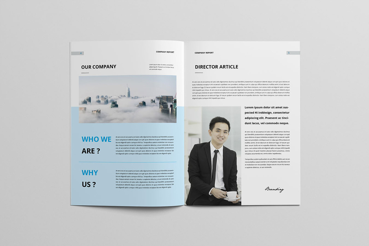 Company Profile Template WORD & INDD, a Brochure Template by Taiffco (Photo 3 of 8)