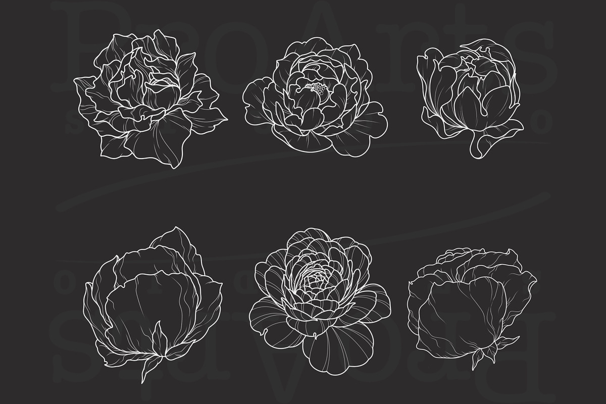 Peony Procreate Tattoo Brush Set, a Brush Add-On by Lucrumplus (Photo 10 of 10)