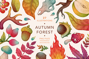 Autumn Forest, Fall Collection