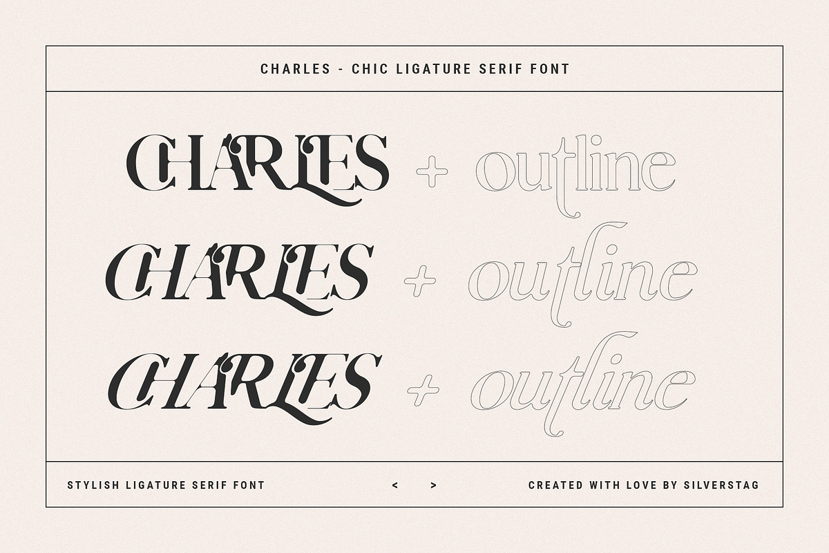 Charles - Ligature Serif Font Family, a Serif Font by SilverStag Type Foundry (Photo 23 of 32)