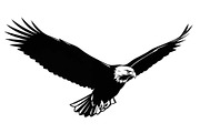 50 Flying Eagle Silhouette Vector Bu, an Illustration by Designs_River (Thumbnail 40 of 51)