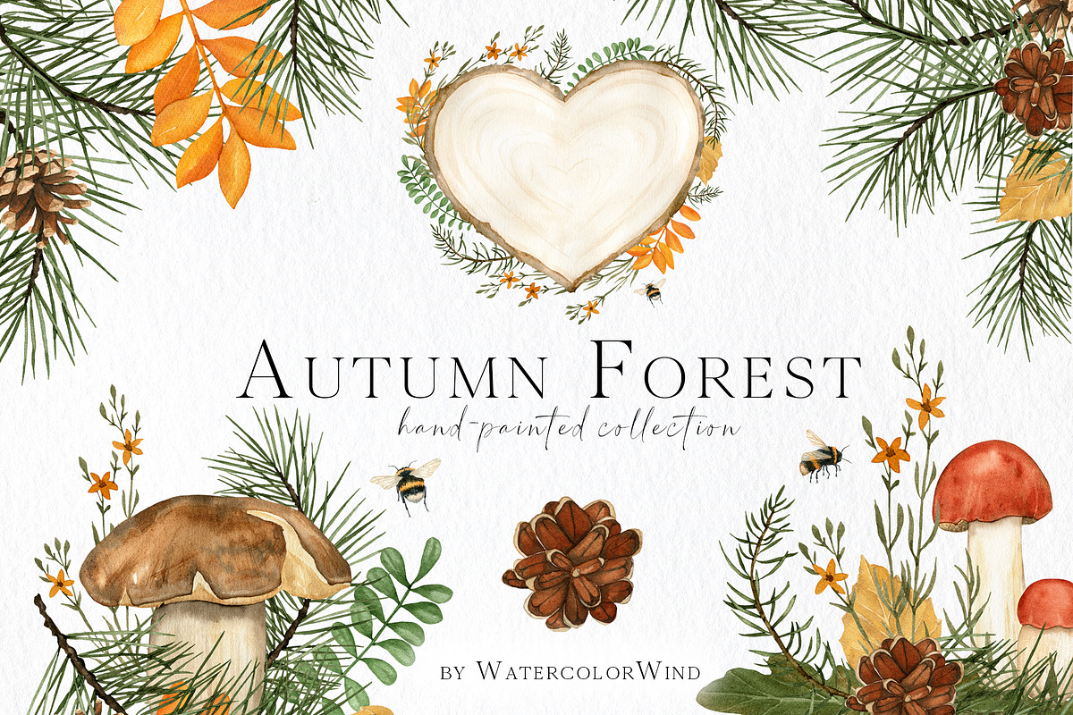 Fall forest mushrooms clipart, an Illustration by Ksenia Shmakova (Photo 1 of 11)