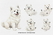 15 Bundle Watercolor White Puppy Dog, an Animal Illustration by Morspective (Thumbnail 6 of 8)