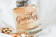 Filladelphia - Beautiful Script, a Script Font by Dirtytemp Studio (Thumbnail 2 of 10)