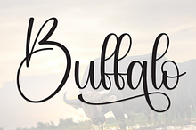 Buffalo | Script Font
