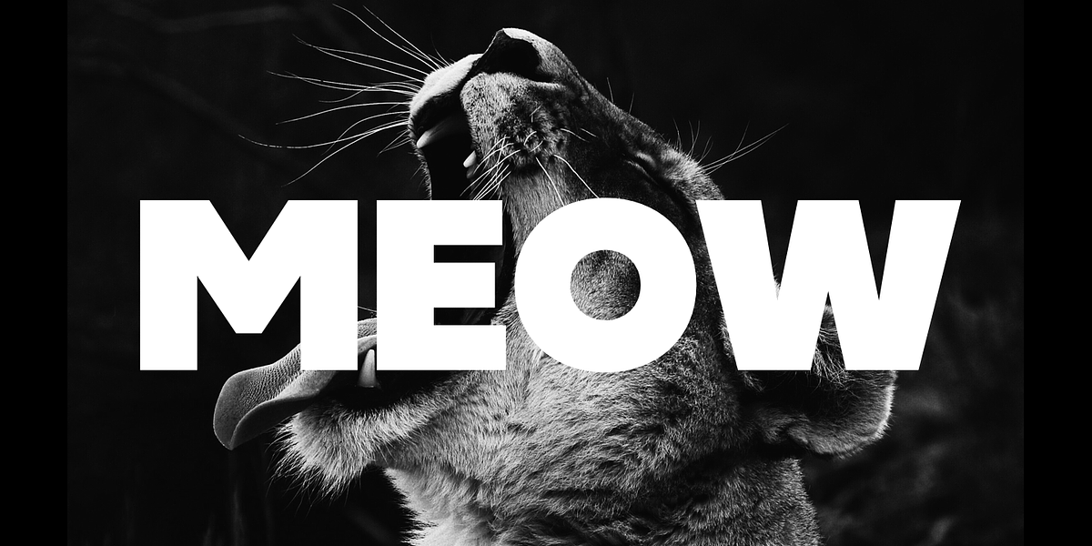 Neometric, a Sans Serif Font by TypeUnion (Photo 12 of 14)