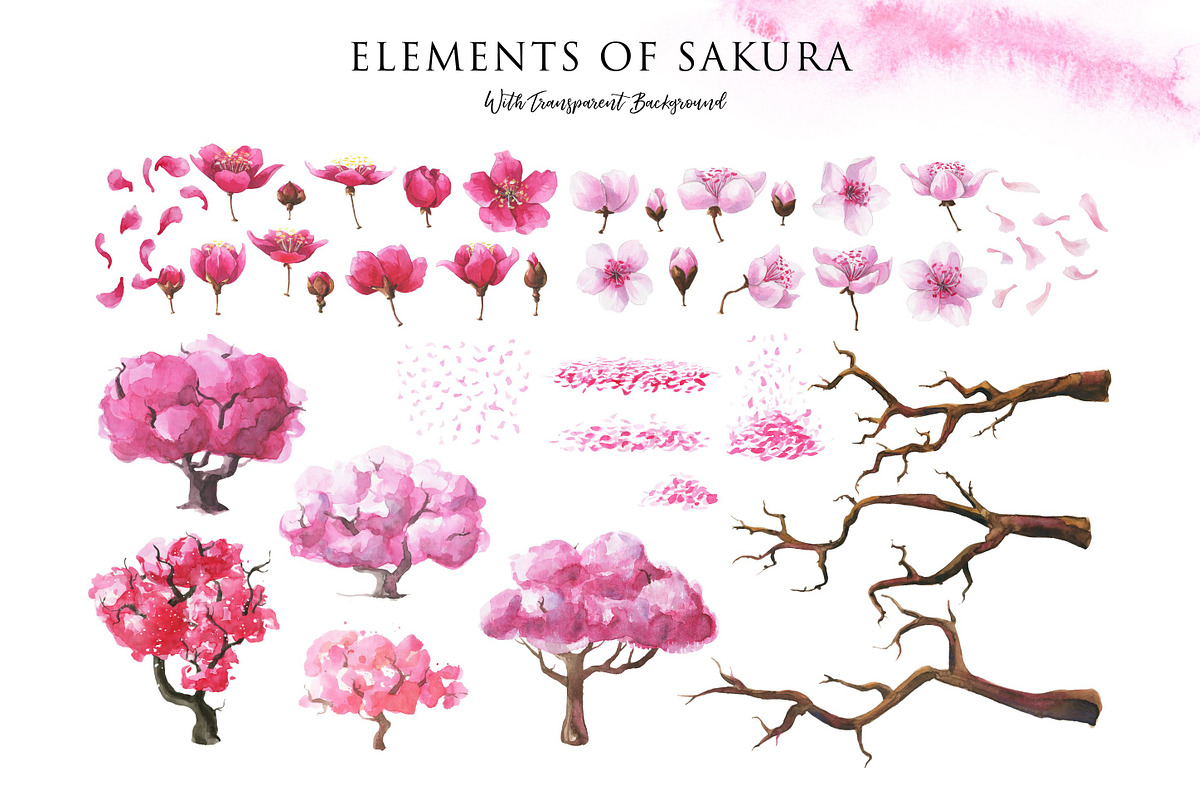 Pink Dreams of Sakura-watercolor set, a Texture Illustration by Satika (Photo 8 of 12)