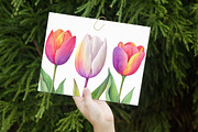 Watercolor Tulip Clipart, an Illustration by Libby Wishes (Thumbnail 3 of 6)