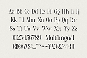 Roach - Modern Display Typeface, a Serif Font by Sohel Studio (Thumbnail 9 of 11)