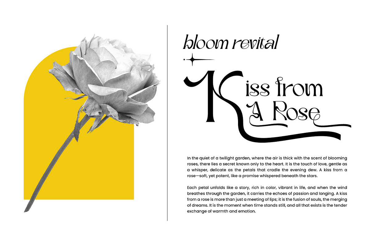 Rafailla - Display Serif Font, a Serif Font by Favo Write (Photo 6 of 13)
