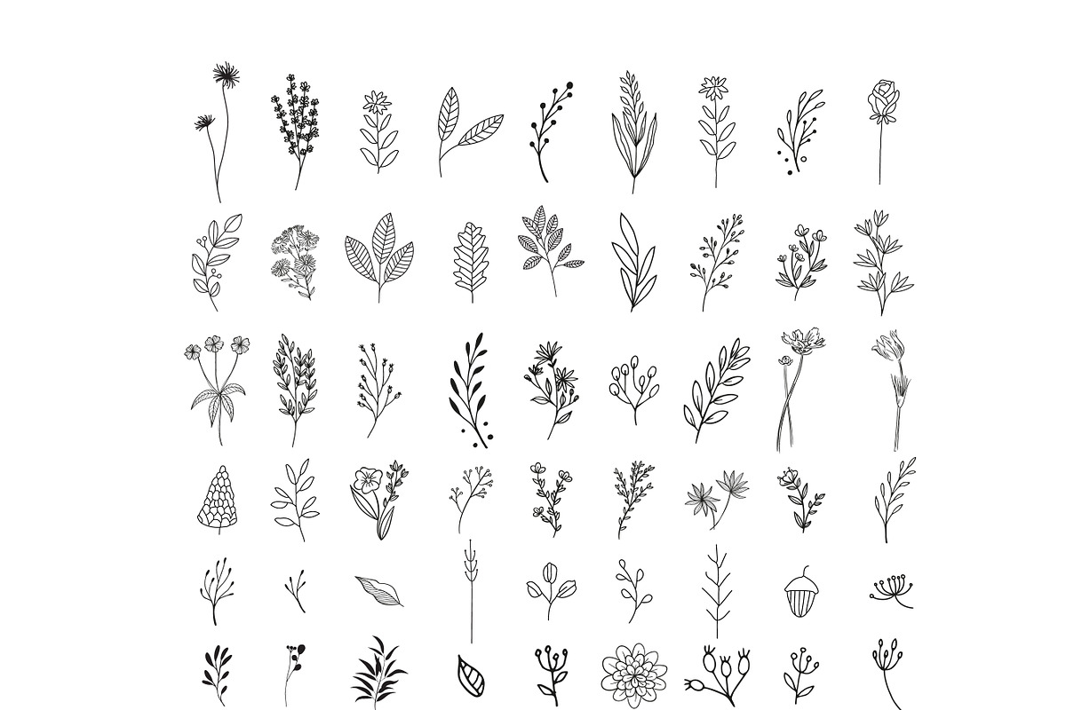 200 Wildflowers Line Art Botanicals, an Illustration by LifestyleCraftCo (Photo 5 of 6)