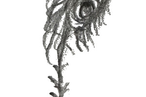Alien plant monster animal, a Photo by DanFLCreativo