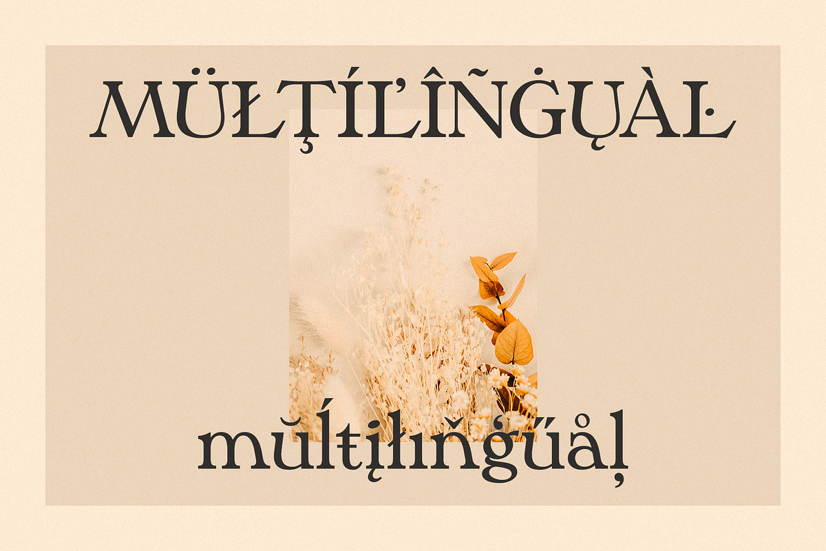 Phaedra // A Retro Serif Typeface, a Serif Font by Megs Lang (Photo 14 of 17)