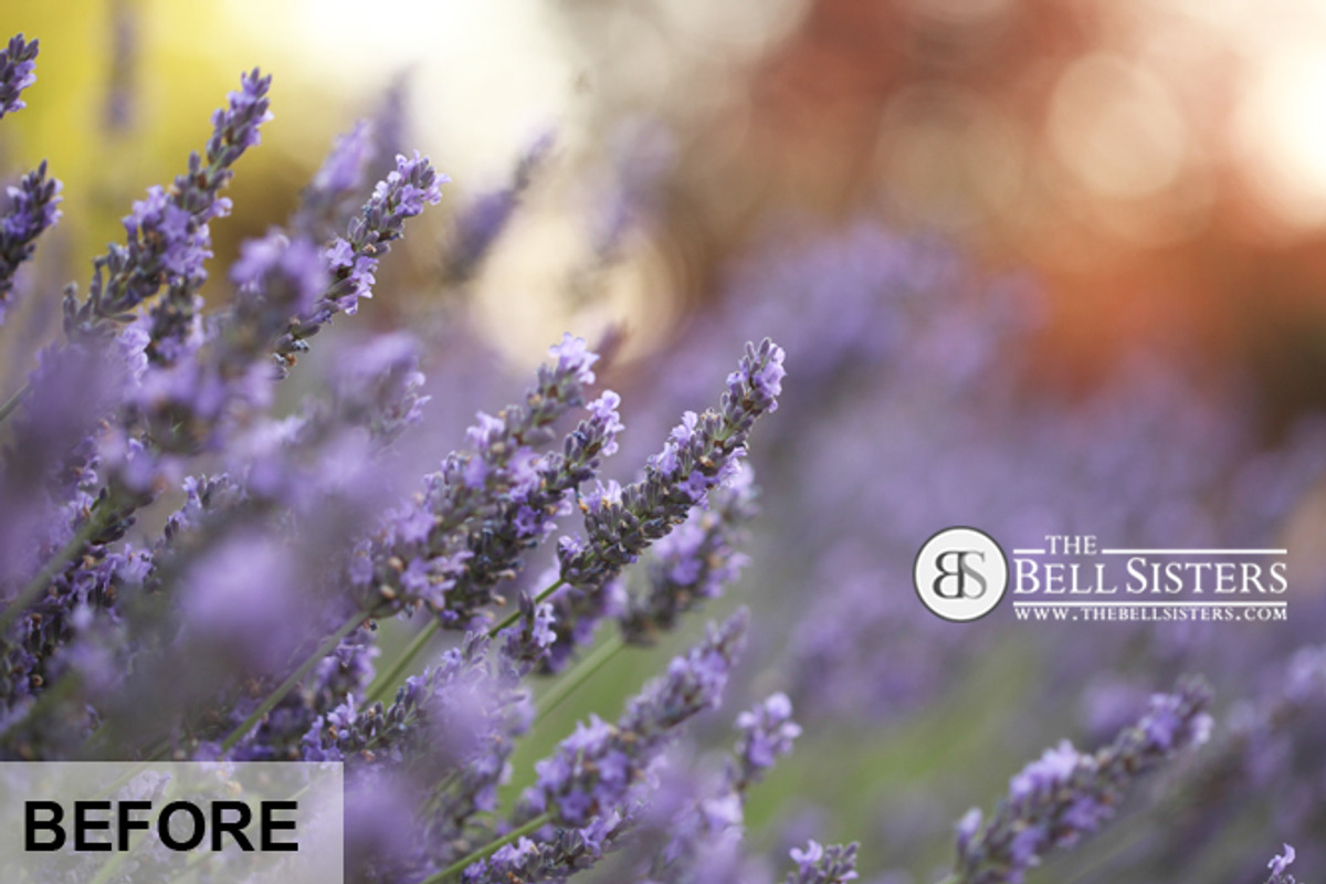 Pro Lightroom Preset Pack, an Action Add-On by The Bell Sisters (Photo 2 of 13)