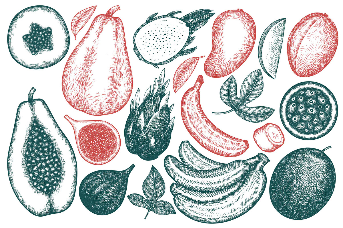 Exotic Plants Vector Collection#2, a Food Illustration by Lubov Illustrations Shop (Photo 3 of 3)