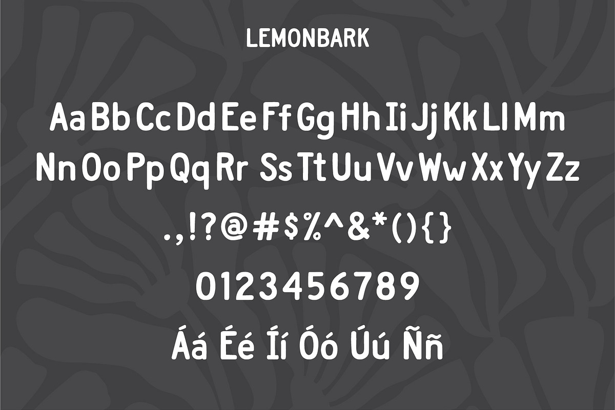Lemonbark by Emily Ann Hill, a Handwritten Font by Emily Ann Hill Type Co. (Photo 2 of 4)