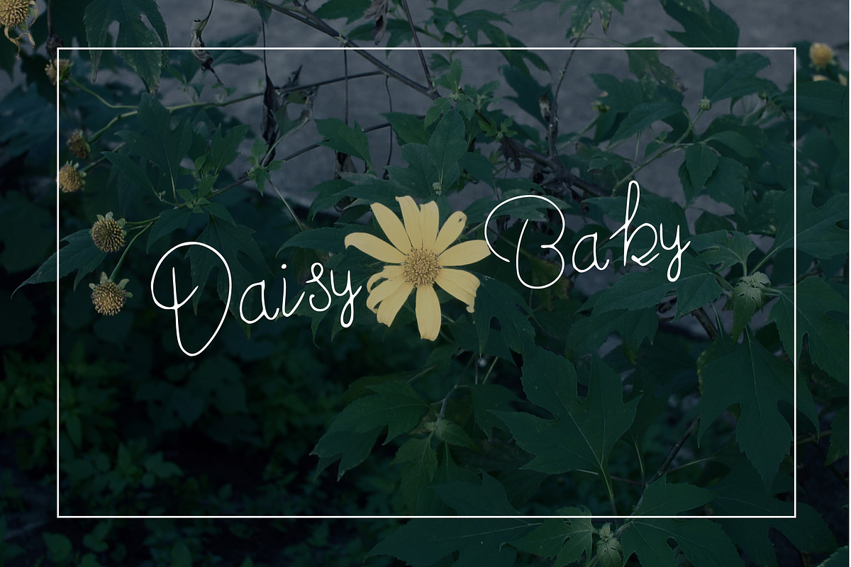 MoonStar Script Font preview 4