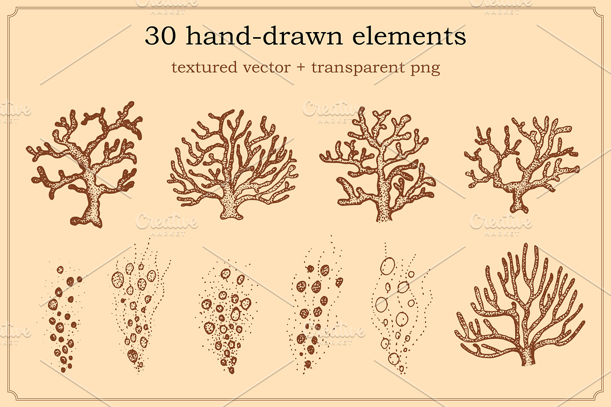 Marine Animal Hand Drawn Elements, an Animal Illustration by Artolabs (Photo 6 of 6)