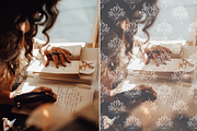Ornamental Lace Overlays, a Texture Graphic by youtoview (Thumbnail 10 of 13)