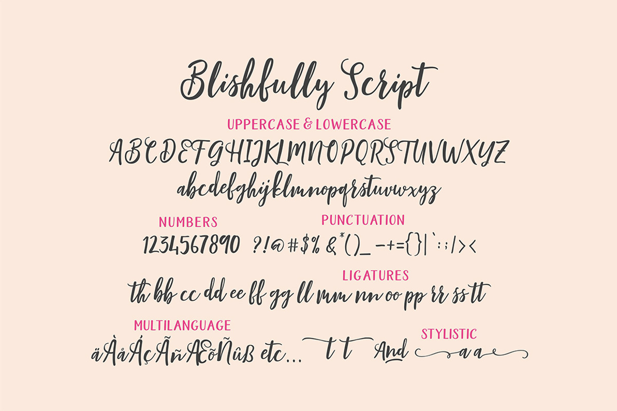 Blishfully Font Duo, a Script Font by Areatype (Photo 13 of 14)