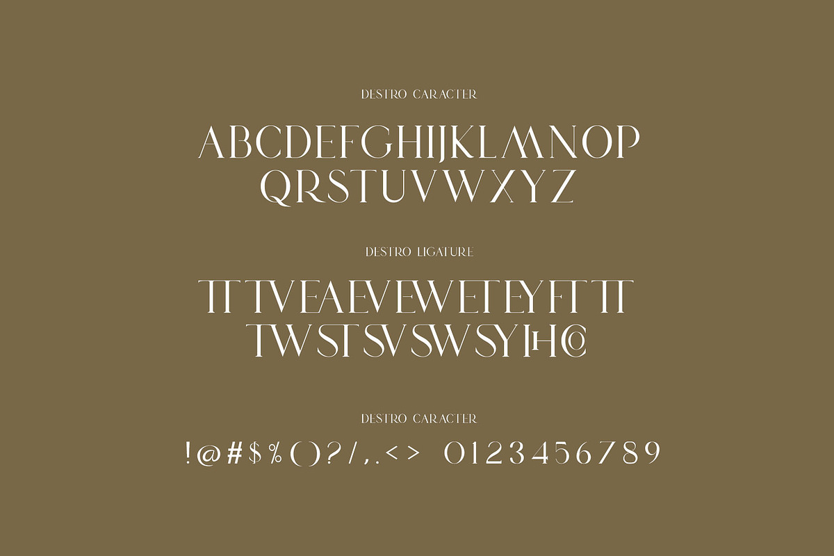DESTRO Ligature Serif Font, a Serif Font by Humaira_std (Photo 7 of 8)