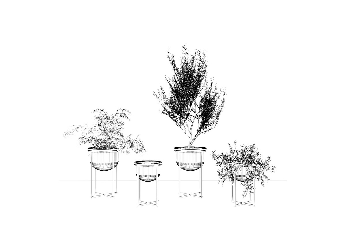 Interior Plants Trio, a Furniture 3D Model by 3DCargo (Photo 8 of 9)
